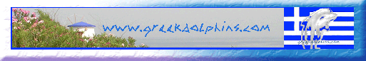 Banner mittel